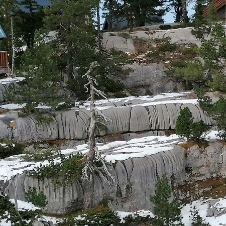 Studio Montagne A La Pierre St Martin Arette Eksteriør billede
