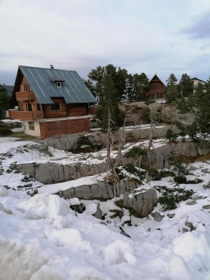 Studio Montagne A La Pierre St Martin Arette Eksteriør billede